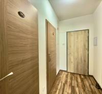 Entrance hallway with wood-patterned flooring in a 2-room apartment.