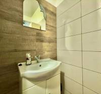 Bathroom in a 2-room apartment with a sink and mirror, wall with wooden decor.