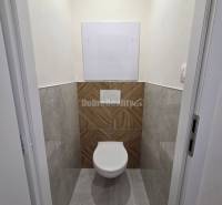 WC with modern tiles and flooring in a 3-room apartment.