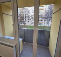 French window in a 3-room apartment with a wooden decor floor and a view of the balcony.