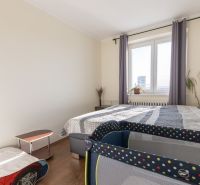 A bedroom with a bed, a crib, and a wooden decor floor in a two-room apartment.