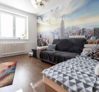 Living room in a two-room apartment with a sofa, colorful carpet, and a mural of a city.