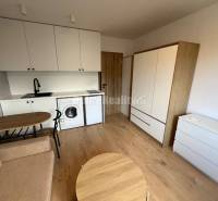 Studio apartment with a kitchenette, wardrobe, and washing machine; floor with wood decor, bright interior.