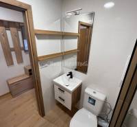 A studio apartment with a wooden floor, a small bathroom with a mirror and a sink.