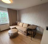 Studio apartment with a sofa, window, and table, wooden floor decor, cozy interior.