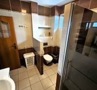 A bathroom in a family house with tiles, a shower, and a toilet.