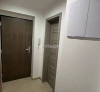 Hallway in a 2-room apartment with tiles and wooden doors.
