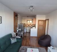 Living room in a two-room apartment with a sofa, wooden decor flooring, and a kitchenette.