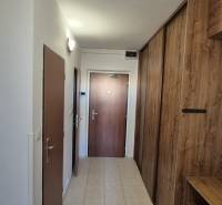 A hallway with tiled flooring and cabinets with a wooden decor in a 2-room apartment.