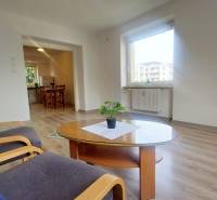 Living room of a two-room apartment with a window, floor with wooden decor, and a table with a plant.