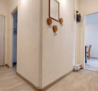 A hallway in a 2-room apartment with white walls and a wooden decor floor.