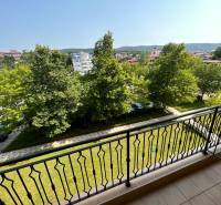 View from the balcony of greenery and parking in Sunny Beach.