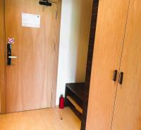 Entrance area in a one-room apartment with wood-patterned flooring and a wardrobe.