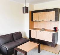 Compact 1-room apartment with a sofa, kitchen, and table with a wooden decor.
