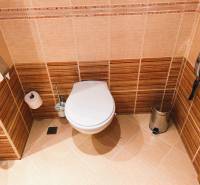 Bathroom with toilet, tiles, and wall tiles in warm shades.