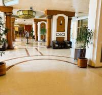 An elegant hotel corridor with decorative columns and potted plants.
