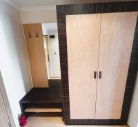 Entrance hallway with wooden decor, wardrobe, and coat rack in a studio apartment.