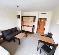 Living space in a studio apartment with a kitchenette and furniture.