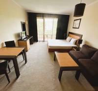 Interior of a 1-room apartment with a sofa, bed, and dining table.