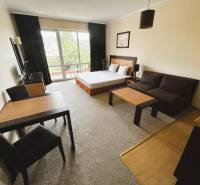 1-bedroom apartment with a bright living room, dark furniture, and a wooden decor floor.