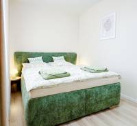 Bedroom in a 3-room apartment with a comfortable bed, wooden decor flooring, light tones.