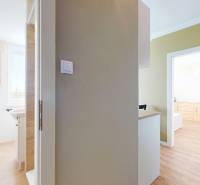 Bathroom and kitchen in a studio apartment with a wooden decor floor.