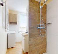 Bathroom in a studio apartment with a shower and a wooden decor floor.