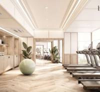 Interior of a gym with wood-patterned flooring and modern fitness equipment. Apartment construction.