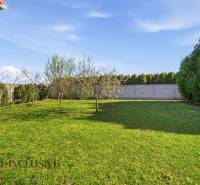 The garden of the family house in Kútniky with a lawn and fruit trees.