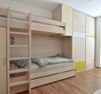 Bunk bed and built-in wardrobe in a room with a wooden decor floor.