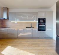 A kitchen with a wood-patterned floor, gray cabinets, and built-in appliances in a family house.