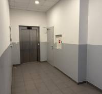 Interior with an elevator, gray tiles, Unique properties.