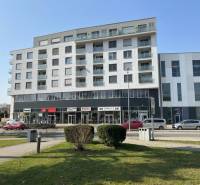 The building of special properties on Nitrianska Street 755 in Piešťany with greenery.