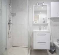 Bathroom in a 2-room apartment with a modern shower and a white sink.