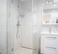 Bathroom with a shower and a sink in a 2-room apartment.