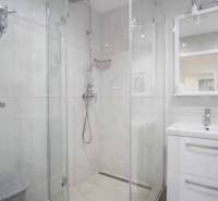 A bathroom with a shower and a sink in a 2-room apartment.