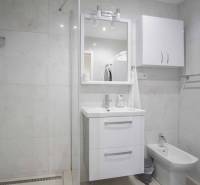 A bathroom in a 2-room apartment with a sink, shower, and washing machine.