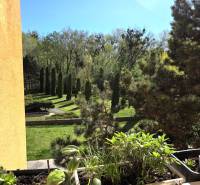 Greenery and plants on the balcony in a 3-room apartment in Bratislava - Petržalka on Romanova Street.