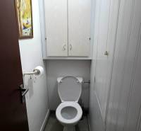 A toilet with a wooden decor floor in a 3-room apartment.