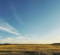 Agricultural and forest lands in Častá with an extensive meadow under a blue sky.