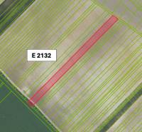 Agricultural and forest land in Častá with the marked parcel E 2132 on the map base.