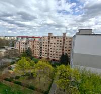 A view of apartment buildings and greenery on Jašíkova Street in Bratislava, Ružinov.