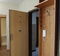 Entrance hall in a 3-room apartment with a wood-patterned floor and a coat rack wall.