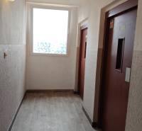 A hallway with elevators and a wooden decor floor in a 3-room apartment.