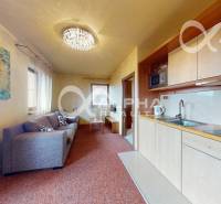 Living area of a 2-room apartment with a kitchen unit, sofa, and decorative lighting.