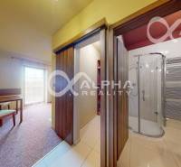 Interior of a 2-room apartment with carpet, glass shower, and wooden doors.