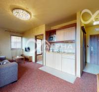 Living room in a two-room apartment with a sofa and a kitchenette.