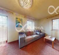 Living room in a two-room apartment with a sofa, carpet, and ceiling light.