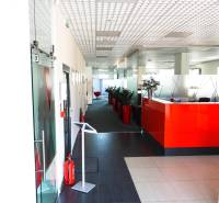 A hallway in offices with a red reception, plants in red pots.