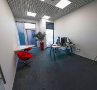 Office interior with a computer desk, red chairs, and a decorative plant.
